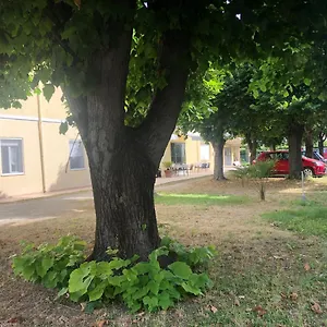 https://hotel-argo.emilia-romagnahotels.net